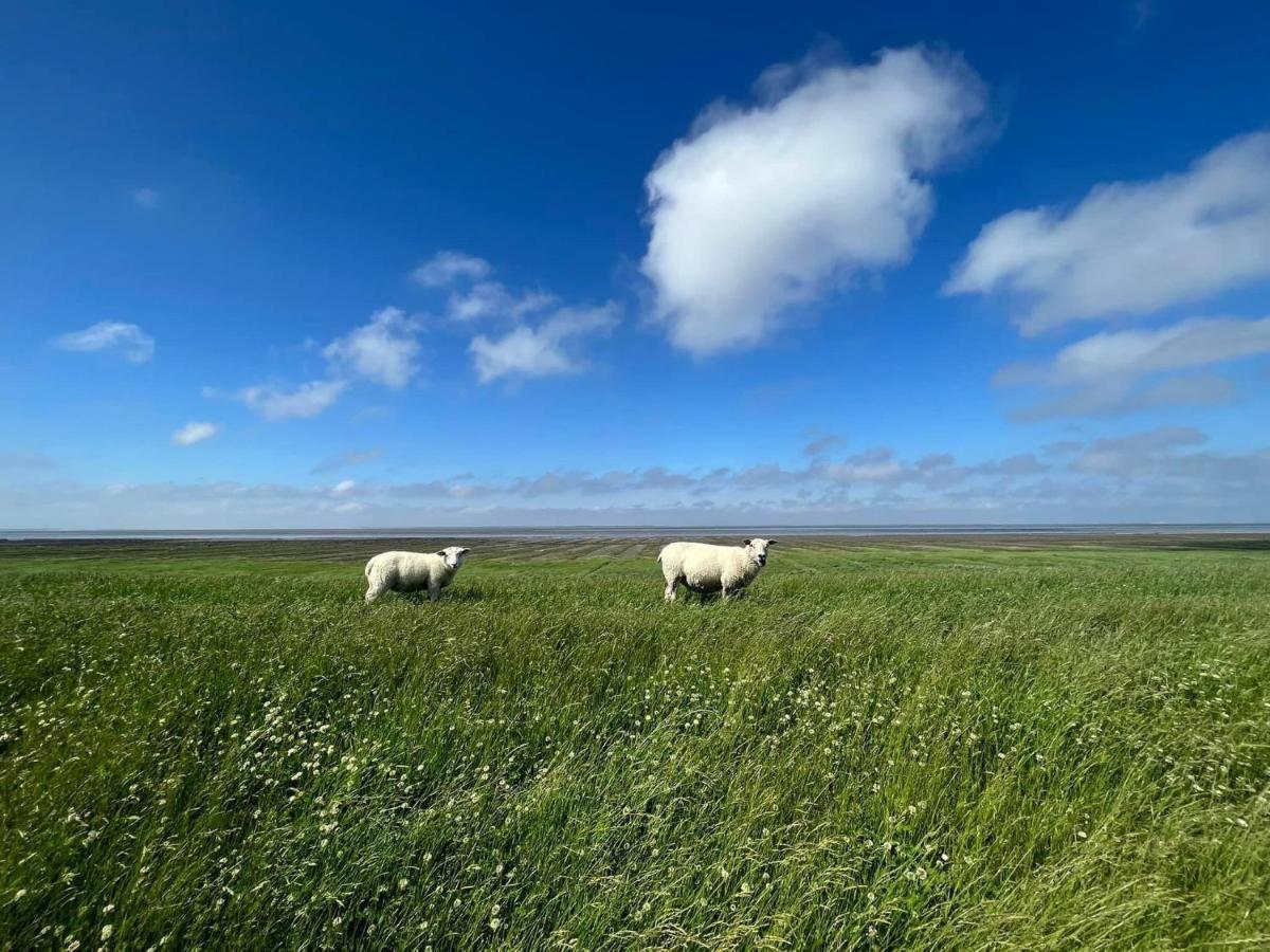 Вилла Ferienhaus Blaue Nordseewelle Эзенс Экстерьер фото